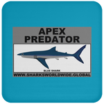 AP BLUE SHARK C