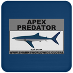 AP BLUE SHARK C