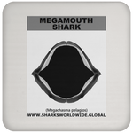 GR MEGAMOUTH J C