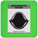 GR MEGAMOUTH J C