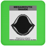 GR MEGAMOUTH J C