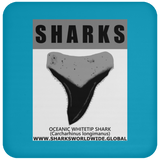 GR SRS T OCEANIC WT C