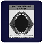 GR PYGW J C