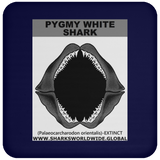 GR PYGW J C