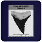 GR GALAPAGOS T C