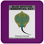 GR BS RIBBONTAIL C