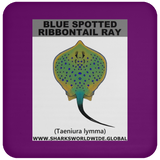 GR BS RIBBONTAIL C