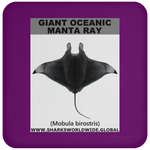 G OCEANIC MANTA C