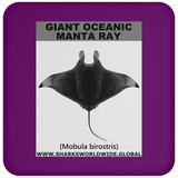 G OCEANIC MANTA C