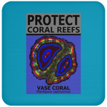 PCRS VASE C