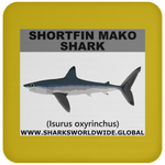 SSP SHORTFIN C