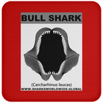 GR BULL SHARK J C