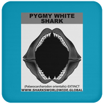 GR PYGW J C