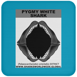 GR PYGW J C
