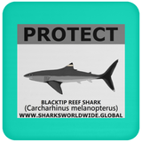 PRS BLACKTIP REEF V2 C