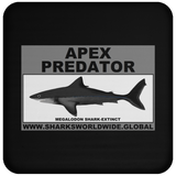 AP MEGALODON C