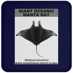 G OCEANIC MANTA C