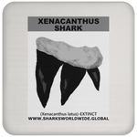 GR XENACANTHUS T C