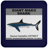 SSP GIANT MAKO C
