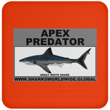 AP GREAT WHITE C