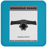 GR WINGHEAD J C