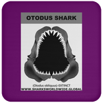 GR OTODUS J C