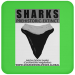 GR SSPX T MEGALODON C