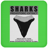 GR SSPX T MEGALODON C