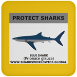 PRS BLUE SHARK V1 C