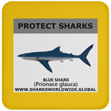 PRS BLUE SHARK V1 C