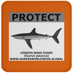 PRS LONGFIN V2 C