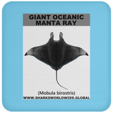 G OCEANIC MANTA C