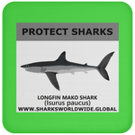 PRS LONGFIN V1 C