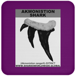 GR AKMONISTION T C