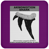 GR AKMONISTION T C