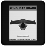 GR WINGHEAD J C