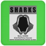 GR SRS J BULL SHARK C