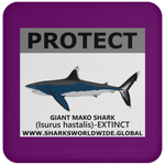 PRS GIANT MAKO V2 C