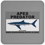 AP BLUE SHARK C