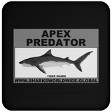 AP TIGER SHARK C