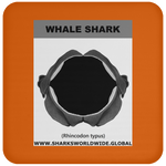 GR WHALE S J C