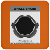 GR WHALE S J C