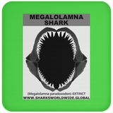 GR MEGALOLAM J C
