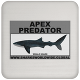 AP WHALE S C