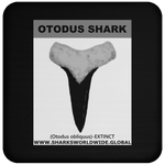 GR OTODUS T C