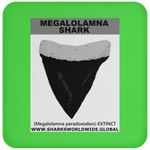 GR MEGALOLAM T C