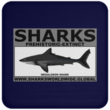 SSPX MEGALODON C