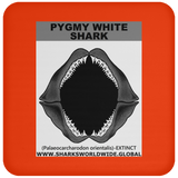 GR PYGW J C