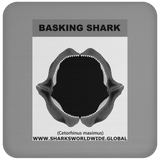 GR BASKING SHARK J C