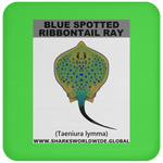 GR BS RIBBONTAIL C
